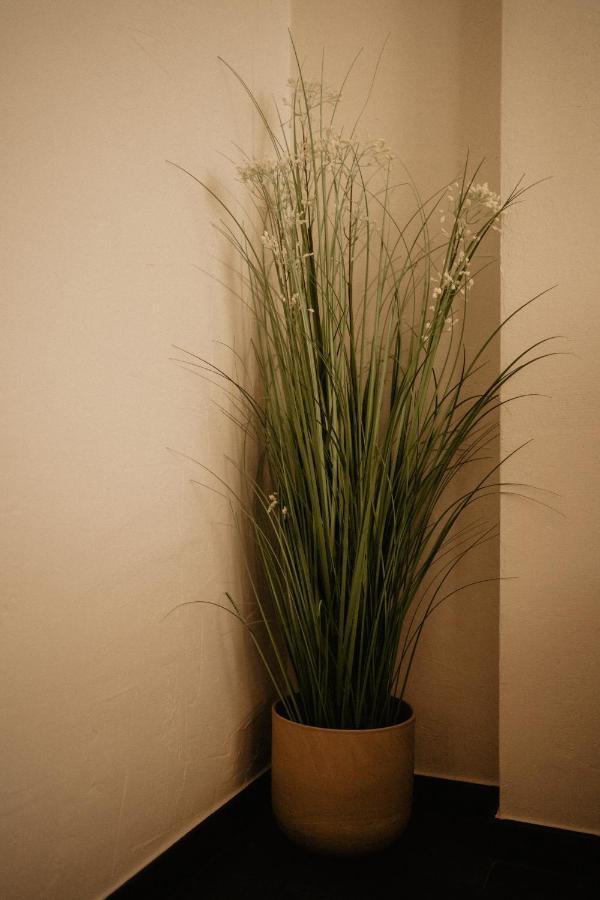 Huize Schaberg Bed & Breakfast บอร์กโลน ภายนอก รูปภาพ